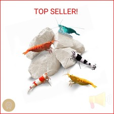 SunGrow Shrimp Rocks, Calcium, Magnesium Rocks for Crayfish, Hermit Crab, Snails