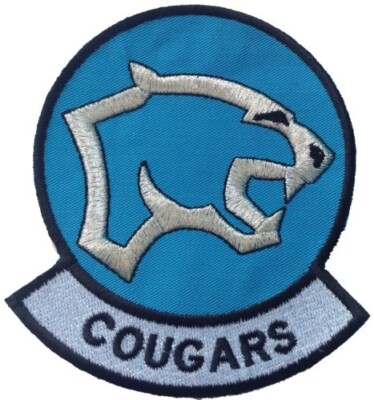Electromagnetic Attack Squadron 139 US Navy gestickter Aufnäher Abzeichen - LETZTE PAAR