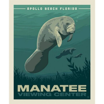 Destinations Florida Travel Poster Apollo Beach Manatee 36x44 Fabric Panel