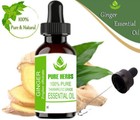Pure Herbs Ginger 100% Pure & Natural Zingiber officinale Essential Oil