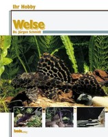 Ihr Hobby Welse | JüRgen Schmidt | Deutsch | Buch | 80 S. | 2009