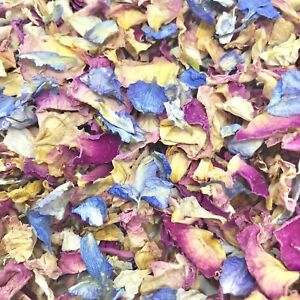 Yellow Biodegradable Wedding CONFETTI IVORY FLUTTERFALL Dried Pink Rose Petals