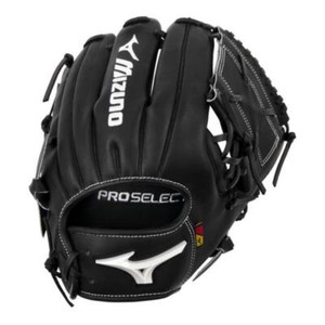 Mizuno Pro Select | eBay