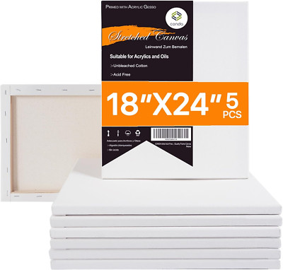 18X24 Inch Stretched Canvas for Painting, 5 Pack Large Canvas, 100% Cotton, 5/8