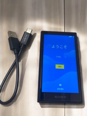 Sony NW-A105 Walkman schwarz tragbarer Audio Player Hi-Res getestet gebraucht
