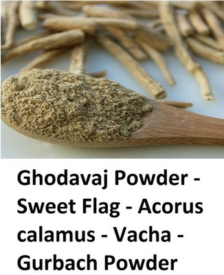 Ghodavaj Gurbach Sweet Flag  (Acorus calamus) Powder 100% Purest