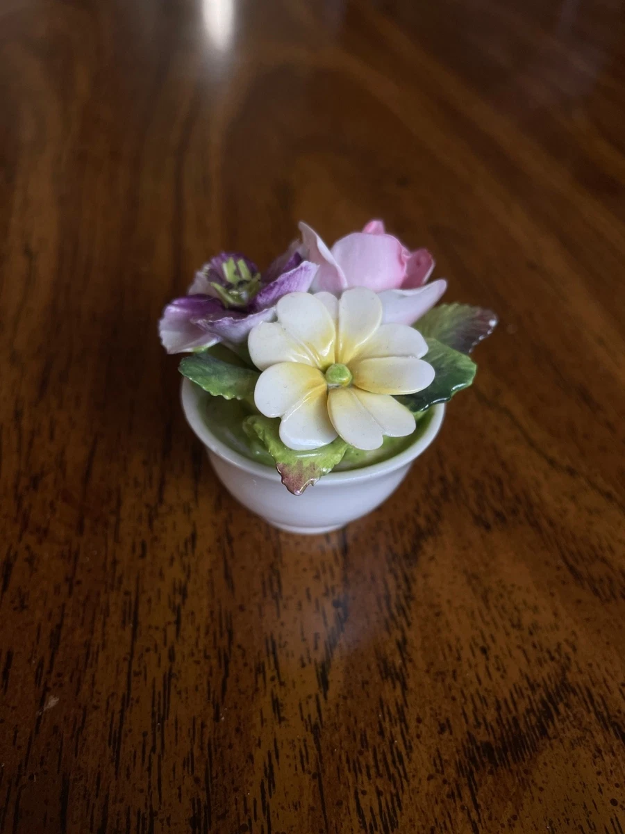 Coalport Flower Pot for sale | eBay