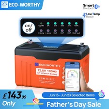 【LED Indicator Light】12V 100AH Lithium Leisure Battery LiFePO4 Bluetooth Caravan