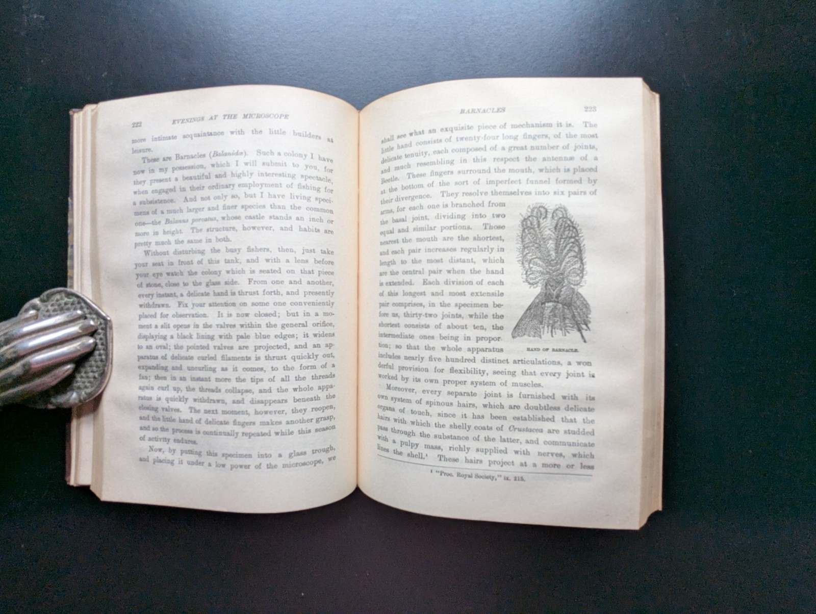 Evenings at the Microscope Gosse 1902 Appleton HC Illustrated Natural History