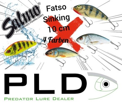 Salmo Fatso sinking sinkend 10 cm, Jerkbait, Hecht Zander Raubfischangeln