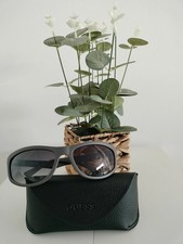 Gafas de sol gris oscuro con estuche