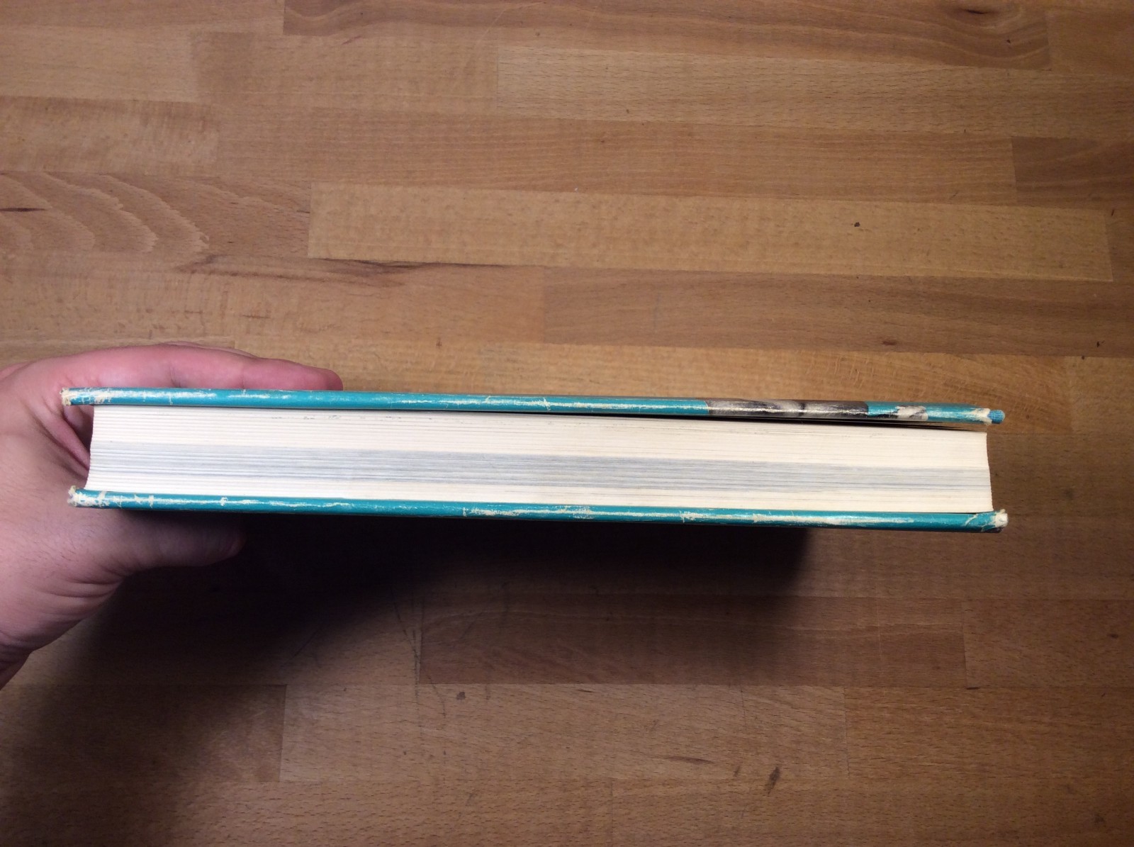 Bild 8 von 19