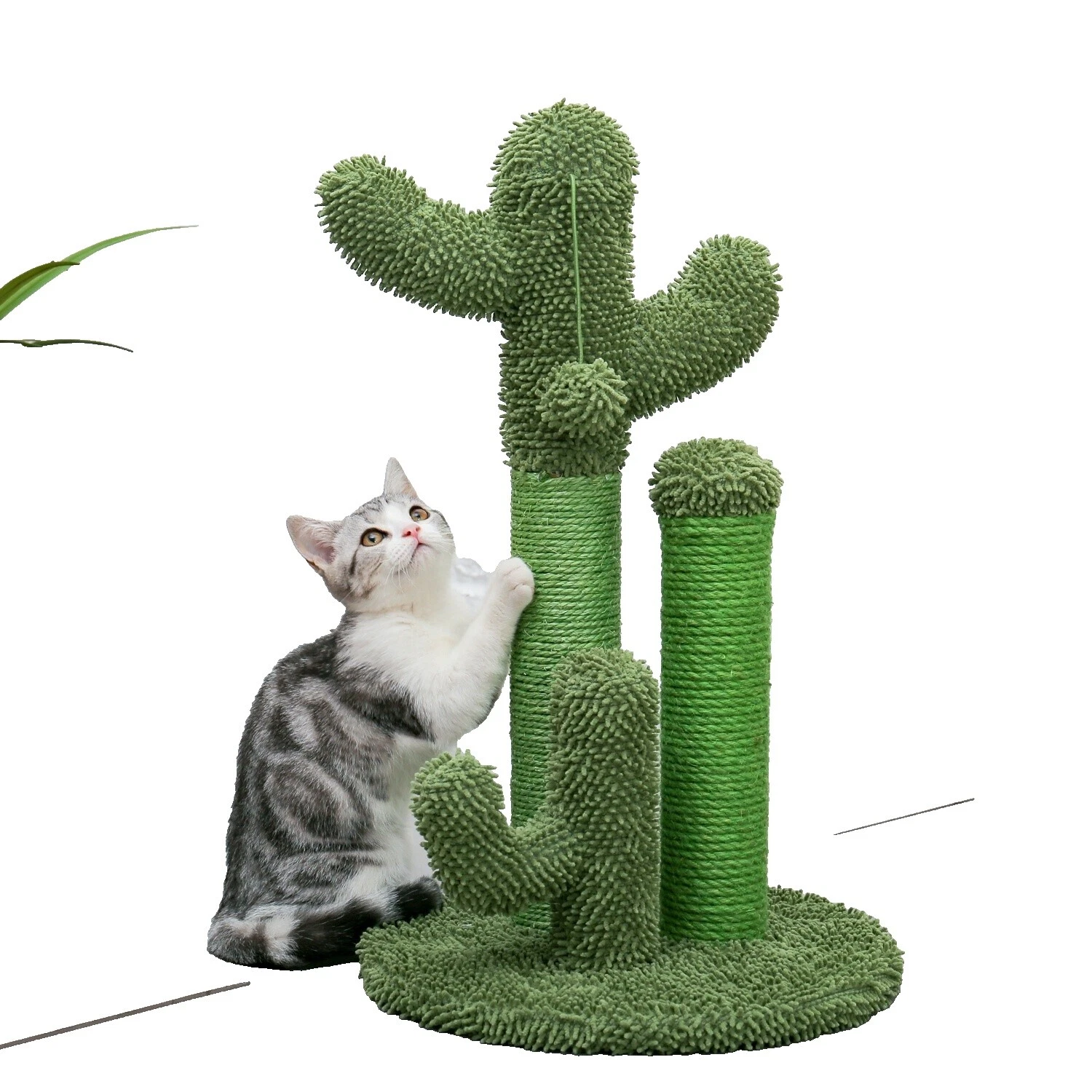 Sisal Cat Scratching Trees