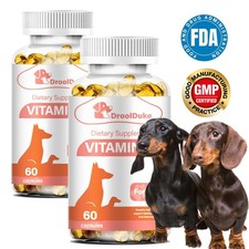 Vitamin C for dogs can help delay aging enhance immunity and resist oxidation
