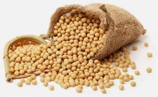 Soybean for Tofu Soymilk Vegetarian Protein US Grown Non-GMO