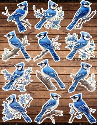 Blue Jay Bird in Tree Die Cut Stickers Set Scrapbooking Laptop Waterbottle 