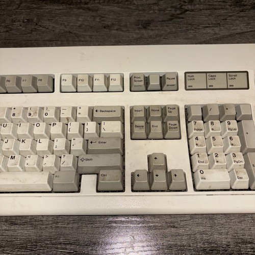 IBM Model F PC XT Keyboard - Untested, E0 - Picture 4 of 10
