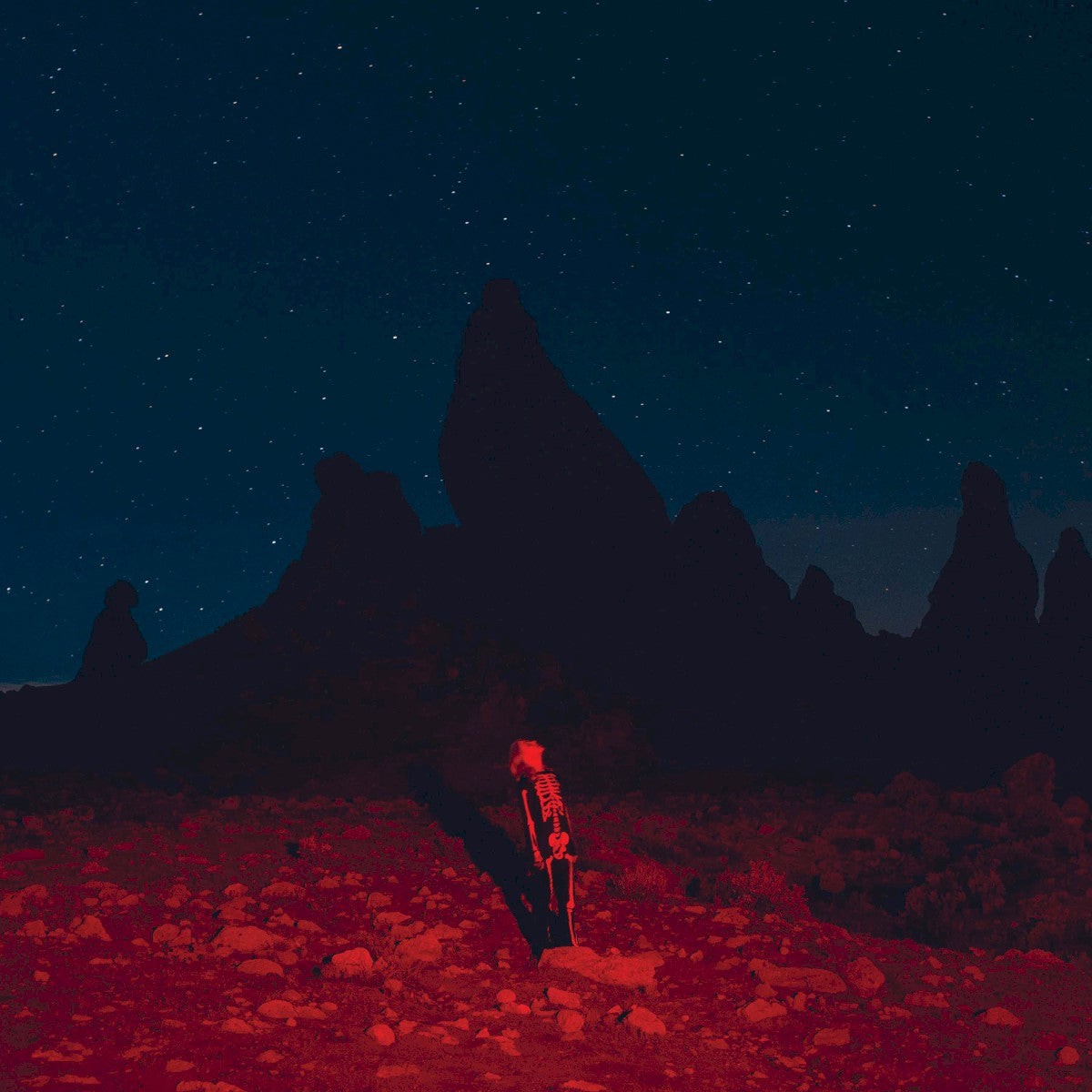 Phoebe Bridgers - Punisher | LP w/ 24 Page Booklet | Kyoto Garden