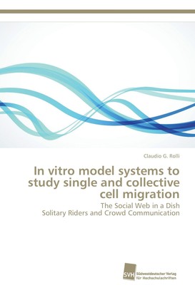 In vitro model systems to study single and collective cell migration Rolli Buch