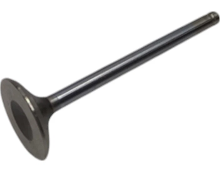 CADILLAC OLDSMOBILE 1993-1999 VÁLVULA ELDORADO EXH 12556458 - NUEVO Foto 2 de 4