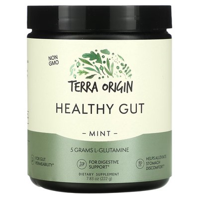 2 X Terra Origin, Healthy Gut, Mint, 7.83 oz (222 g)