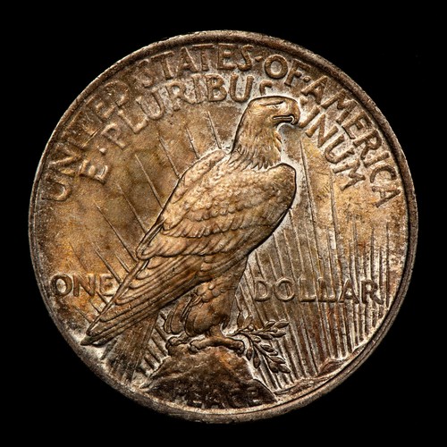 1923 $1 Silver Peace Dollar - Honeycomb Textured Pattern Toning - SKU-D6097 - Bild 9 von 10