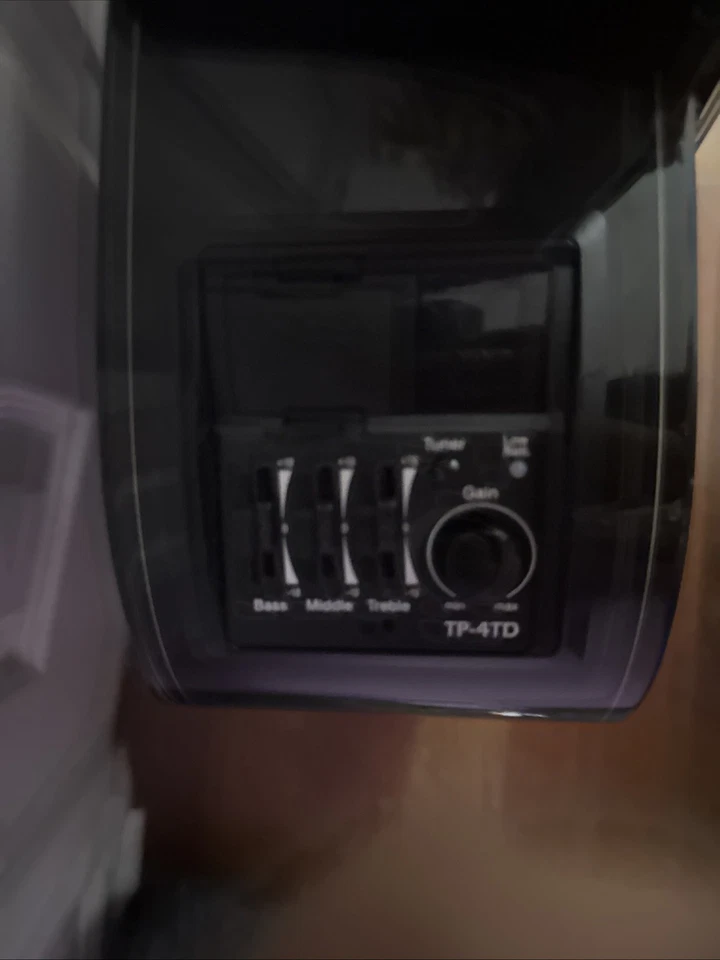 Takamine GD-30CE WITH PAIRED STRINGS AND BRIDGE DOCTOR  (READ DESCRIPTION!)  - Image 3 of 4