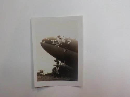 WW2 Photo Military Aircraft Tweeter Airplane World War Two Plane Photograph WWII