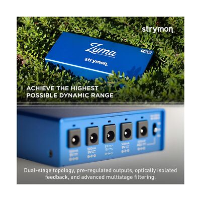 Strymon Zuma R300 | eBay