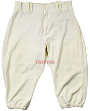 Alex Presley Game Used Houston Astros Pants From 50th Anniversary Game 4/21/15
