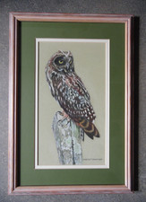 Short Eared Owl on Post Original by Myrtle Breacher. Bird Portrait