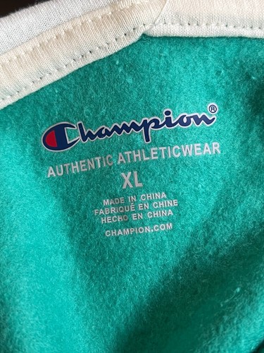 Champion Sweatshirt Hoody Youth Young Adults Heritage Fleece Pick One NWT - Picture 15 of 15