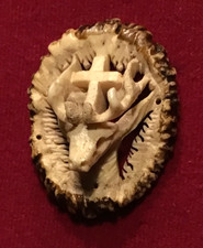 Alte Hirschhornrose mit Hirsch Hubertus Hirschrose Jagd Schmuck Knopf