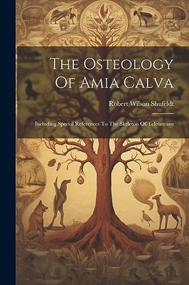Shufeldt - Osteology Of Amia Calva  Including Special References To Th - X555z