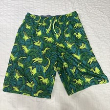 Boys Cat Jack Green Yellow Dinosaur Swim Trunks M 10/12