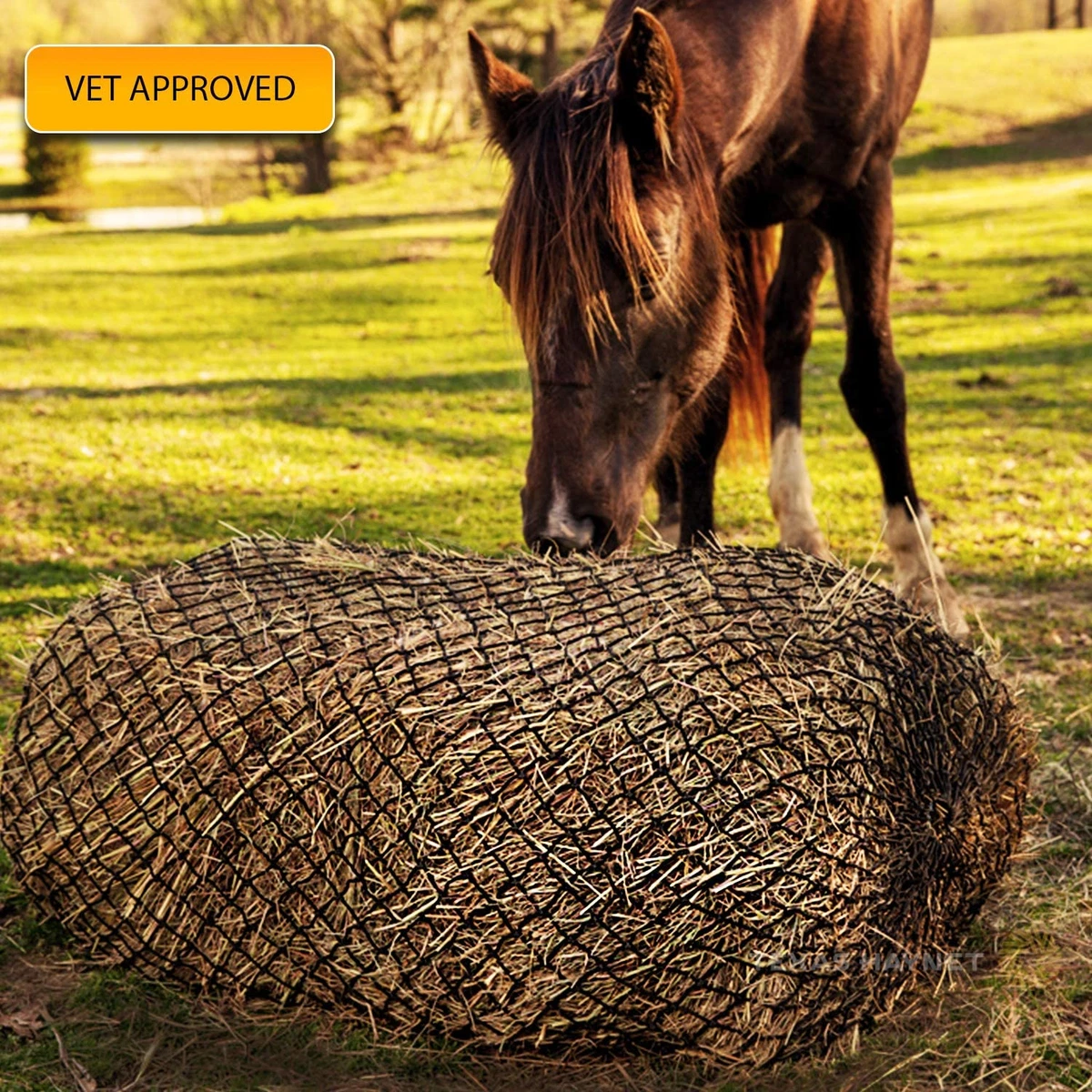 Horse hay net holder new arrivals