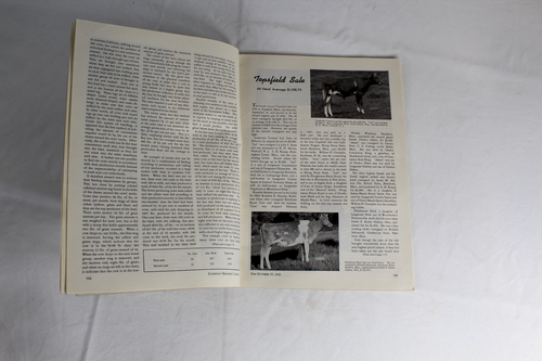 Guernsey Breeders Journal October 15, 1943 Cow Calf Bull Farms Cattle Dairy Ads - Picture 9 of 21