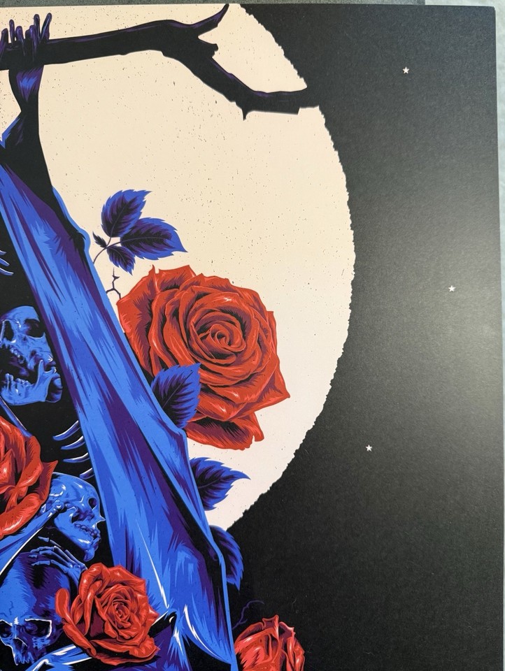 Guns R Roses Skull Guns N Roses GNR Limited Alamodome San Antonio 2026 Tour Poster 133/300 ...