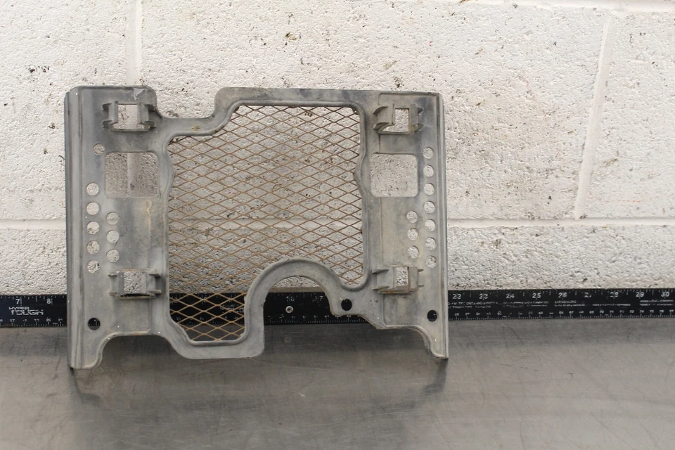 Suzuki King Quad 300 LT-F4WDXS 1995 rejilla radiador protector W806 Foto 2 de 4