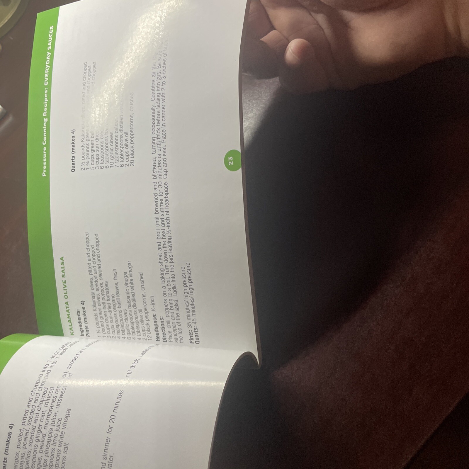 Canning Cookbook Home Canning Cook Book Fagor Bilingual Spanish English Espanol