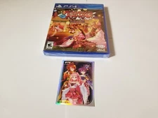 Asdivine Kamura PS4  Sony Playstation 4 new