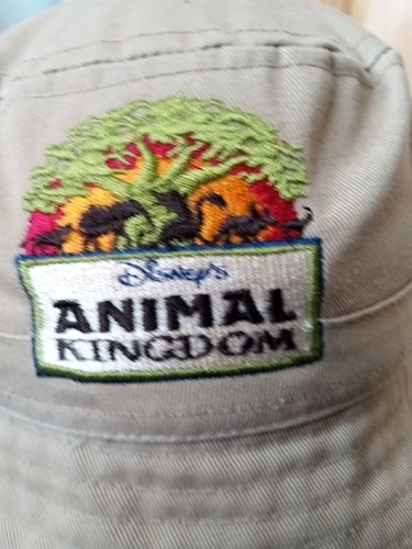 Sombrero Vintage Animal Kingdom Niños Bordado Cubo Floppy Disney World - Imagen 2 de 6