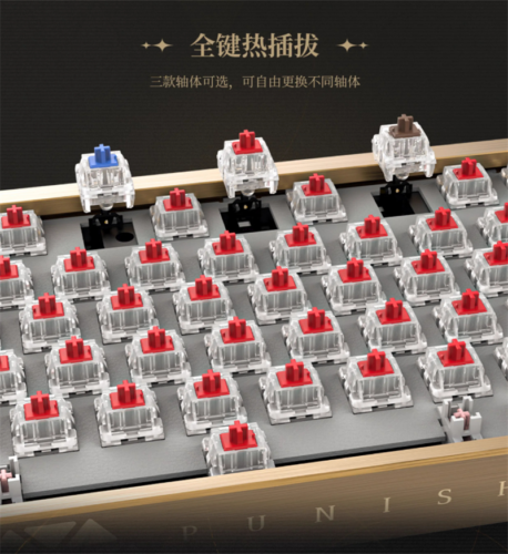Presale Official GRAY RAVEN:PUNISHING Lucia PBT RGB Mechanical Keyboard 89 Keys - Picture 12 of 19
