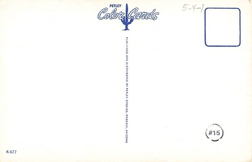 Postcard Queen Pincushion Cactus - Picture 2 of 2