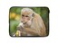 Animal-Laptop-Tablet-Sleeve-Case-Bag-CUSTOM-Personalised-Universal-Cover-14-034-15-034 thumbnail 11