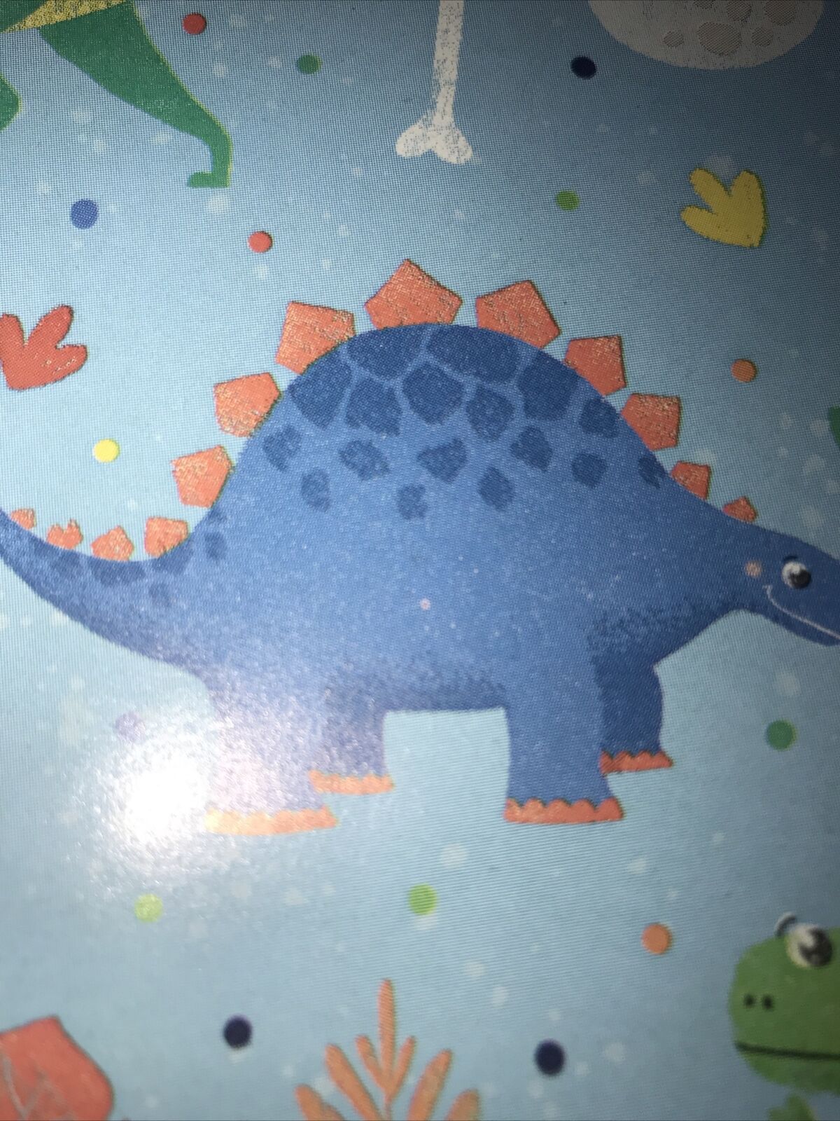 Picture 5 of 12