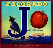 Cedaredge Delta Co. Colorado J Joslyn Bird Apple Fruit Crate Label Art Print