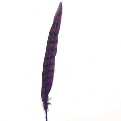 12'' to 14'' Reeves Pheasant Tail Feather - Eggplant