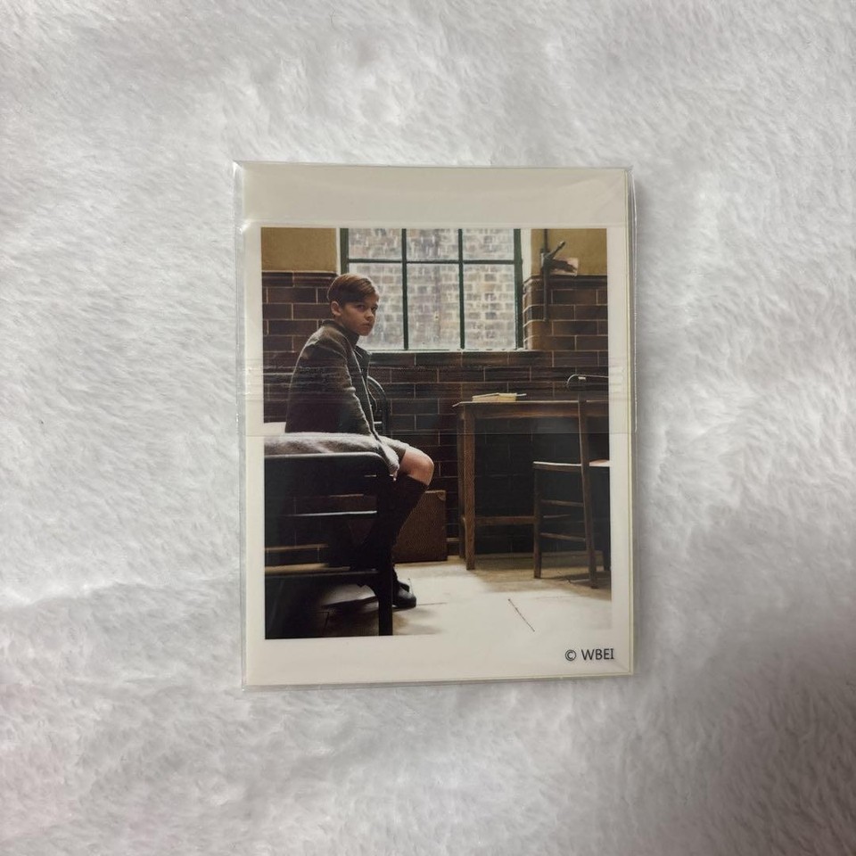 Harry Potter Stickers Tom Riddle | eBay