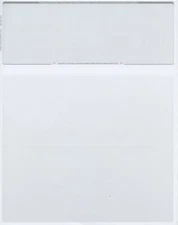 250 Blank Check Stock Paper - Check on Top - Platinum Pinstripe 